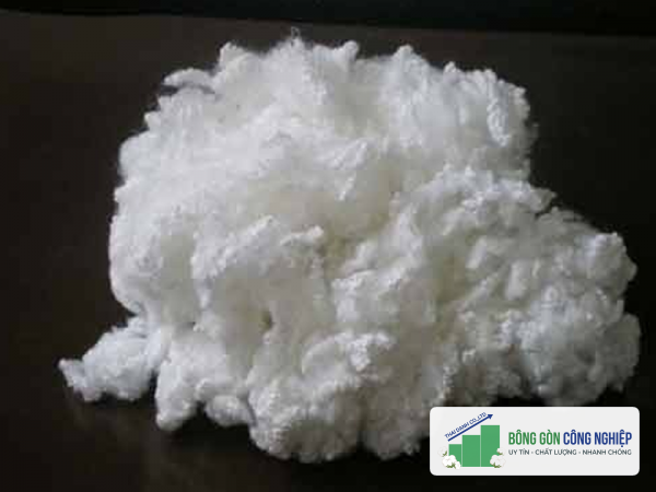 Xơ bông polyester
