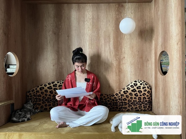 NTK nội thất chỉ ra điều quan trọng cho nhà có thú cưng: Chó cần lưu ý về sofa, mèo cầu kỳ hơn thế