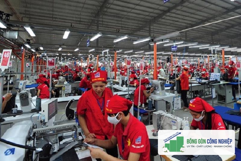 Để xuất khẩu bền vững: Tuân thủ Thỏa thuận Xanh của EU