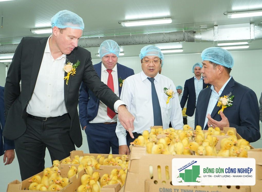 Trứng vịt muối đi Mỹ, ngành chăn nuôi đón dòng vốn đầu tư mới - 3