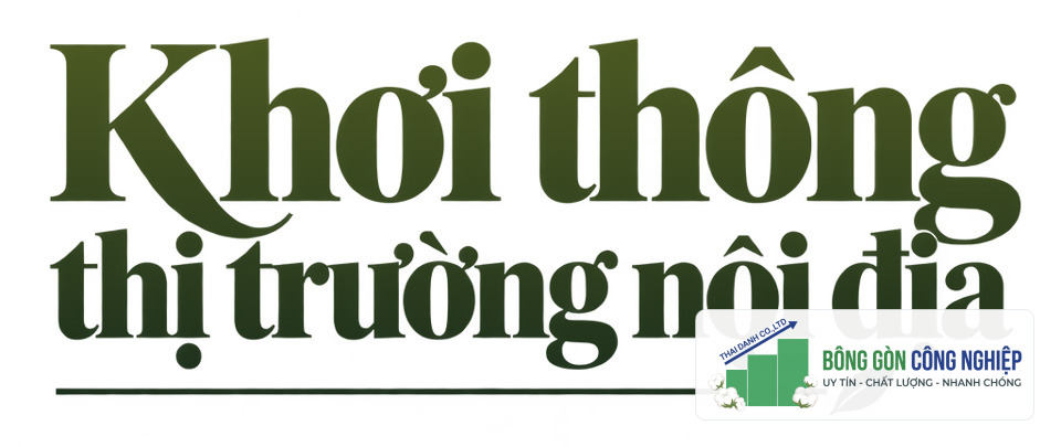 Doanh nhân Phùng Quốc Mẫn: Khát vọng tự cường và những trăn trở về ngành gỗ, nội thất Việt Nam - Ảnh 5.