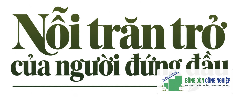 Doanh nhân Phùng Quốc Mẫn: Khát vọng tự cường và những trăn trở về ngành gỗ, nội thất Việt Nam - Ảnh 11.