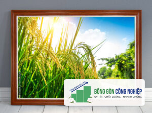 Tranh đồng quê lúa chín mùa vàng bội thu đẹp