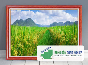 Tranh đồng quê lúa chín mùa vàng bội thu đẹp
